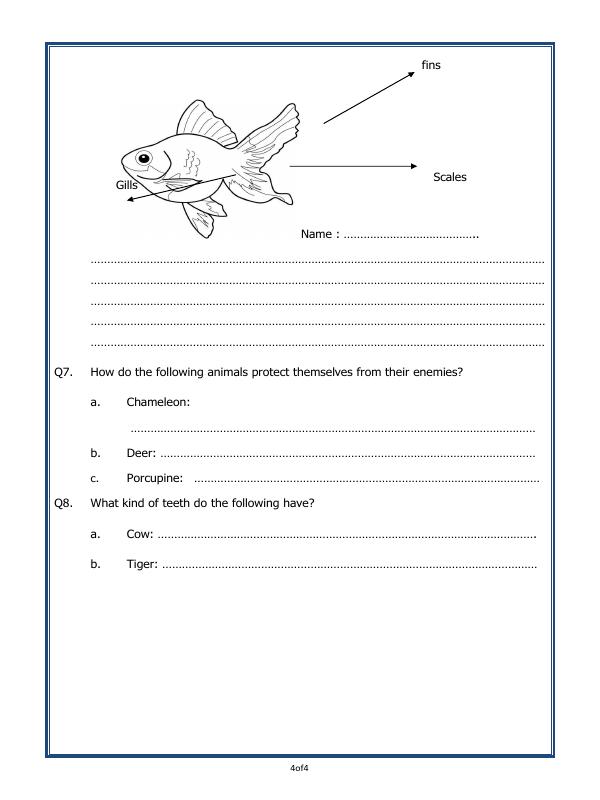 A2ZWorksheets:Science-Animals-Adaptations In Animals