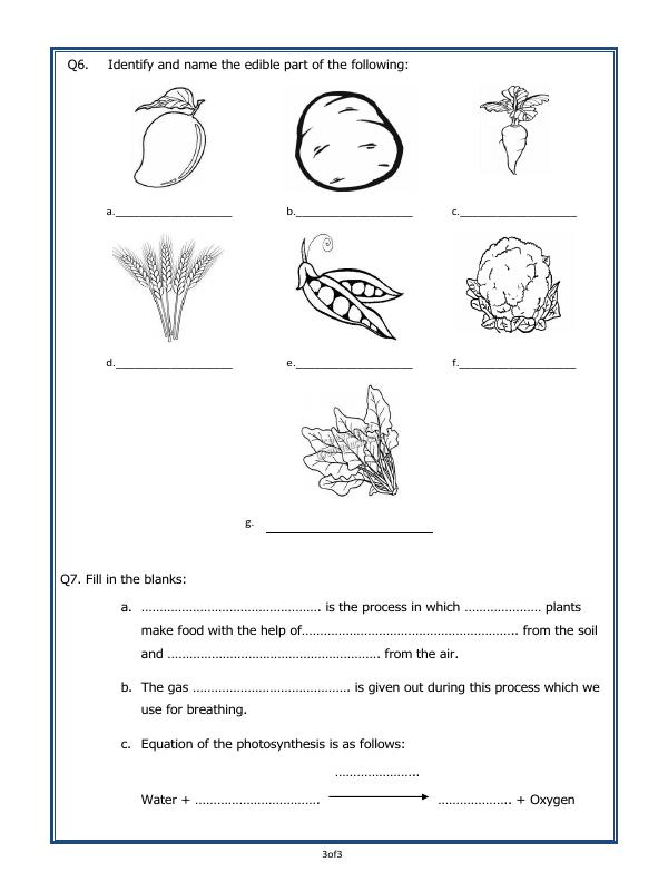 A2ZWorksheets:Science-Plants and Living Organisms-Plants - Our Green Friends