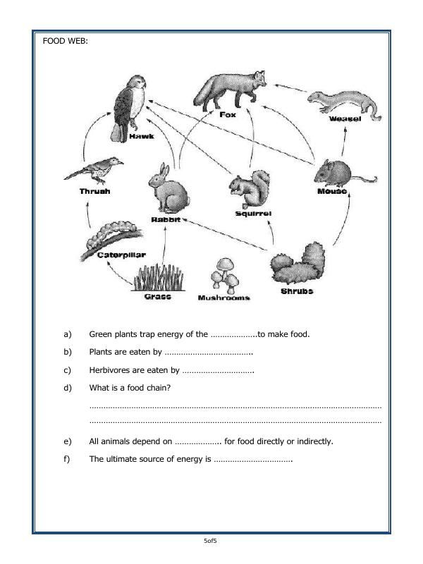 A2ZWorksheets:Science-Plants and Living Organisms-Plants - Our Green Friends
