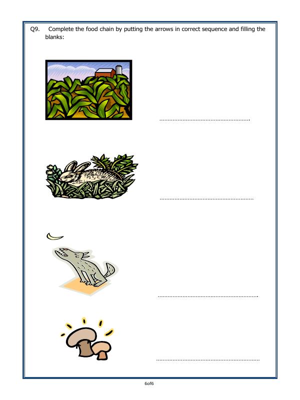 A2ZWorksheets:Science-Plants and Living Organisms-Plants - Our Green Friends