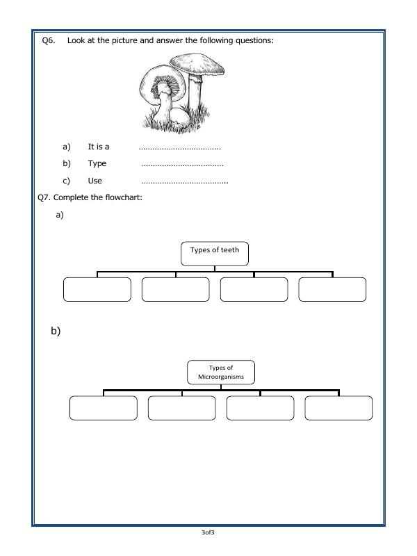 A2ZWorksheets:Science-Humans-Teeth And Microbes