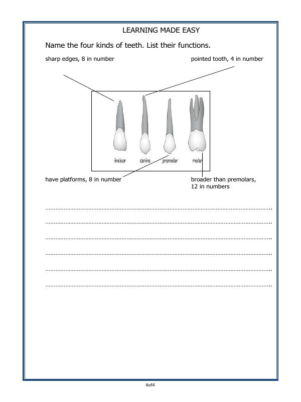 A2ZWorksheets:Science-Humans-Teeth And Microbes
