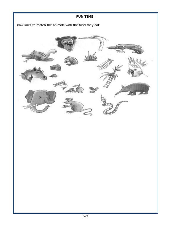 A2ZWorksheets:Science-Animals-Eating Habits Of Animals