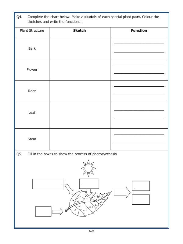 A2ZWorksheets:Science-Plants and Living Organisms-Parts Of A Plant
