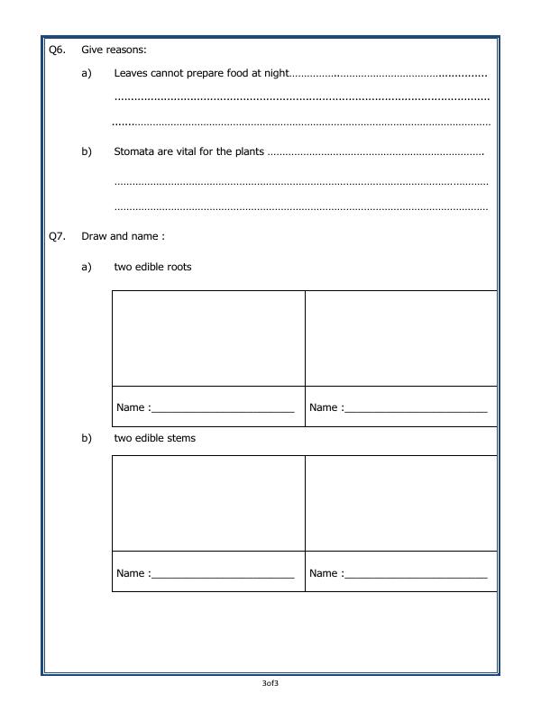 A2ZWorksheets:Science-Plants and Living Organisms-Parts Of A Plant