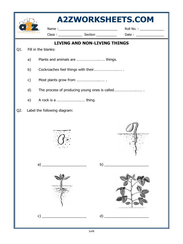 a2zworksheets-worksheet-of-living-and-non-living-things-plants-and-living-organisms-science for Free Printable Living And Non Living Things Worksheet A2Zworksheets:Worksheet of Living And Non-Living Things-Plants and Living Organisms-Science for Free Printable Living And Non Living Things Worksheet