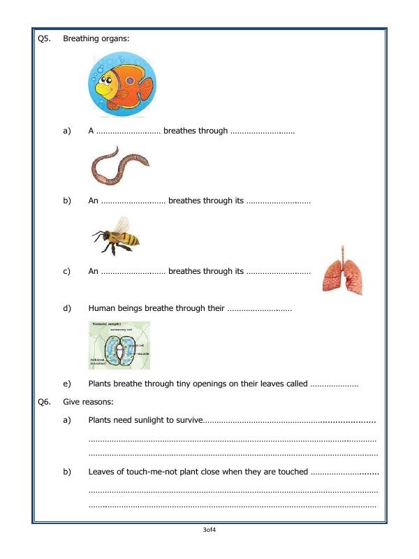 A2ZWorksheets:Science-Plants and Living Organisms-Living And Non-Living Things