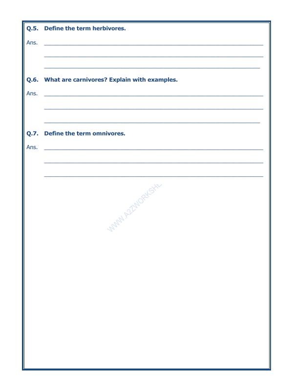 A2ZWorksheets:Science-Basic Necessities-Food Where Does It Come From-04