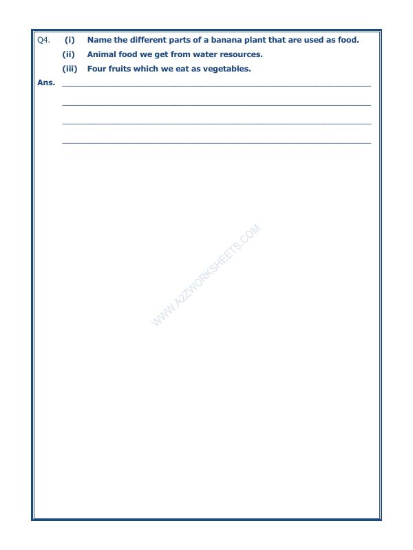 A2ZWorksheets:Science-Basic Necessities-Food Where Does It Come From-05