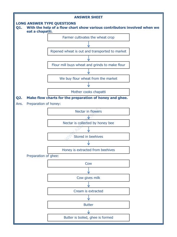 A2ZWorksheets:Science-Basic Necessities-Food Where Does It Come From-05