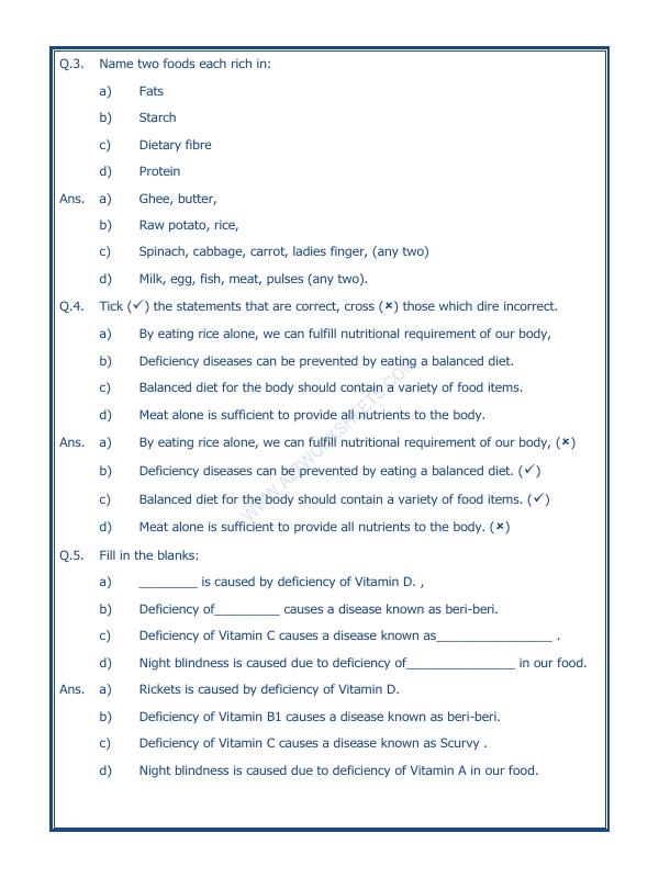 A2ZWorksheets:Science-Basic Necessities-Components Of Food-02