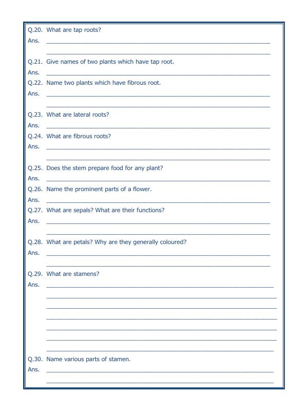 A2ZWorksheets:Science-Plants and Living Organisms-Getting To Know Plants-02