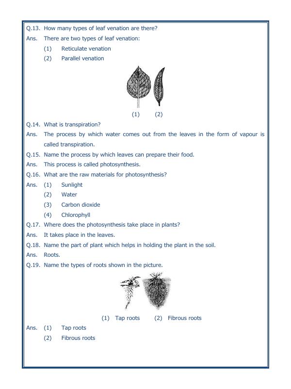 A2ZWorksheets:Science-Plants and Living Organisms-Getting To Know Plants-02