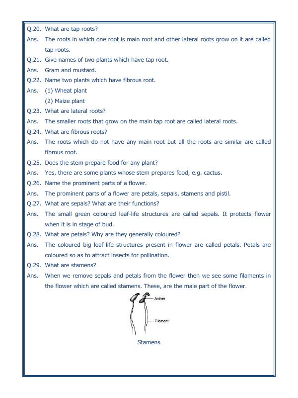 A2ZWorksheets:Science-Plants and Living Organisms-Getting To Know Plants-02