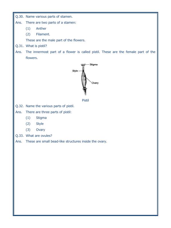 A2ZWorksheets:Science-Plants and Living Organisms-Getting To Know Plants-02