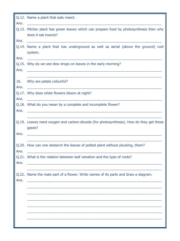 A2ZWorksheets:Science-Plants and Living Organisms-Getting To Know Plants-03