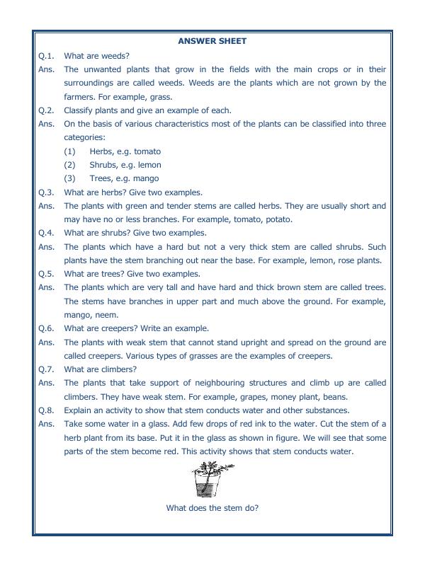 A2ZWorksheets:Science-Plants and Living Organisms-Getting To Know Plants-03