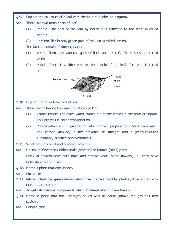 A2ZWorksheets:Science-Plants and Living Organisms-Getting To Know Plants-03