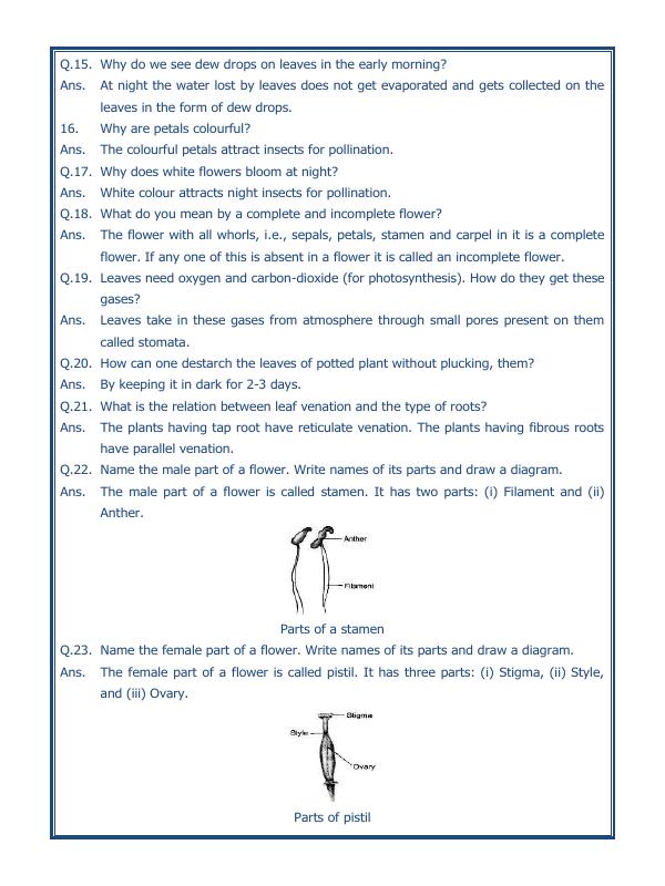 A2ZWorksheets:Science-Plants and Living Organisms-Getting To Know Plants-03