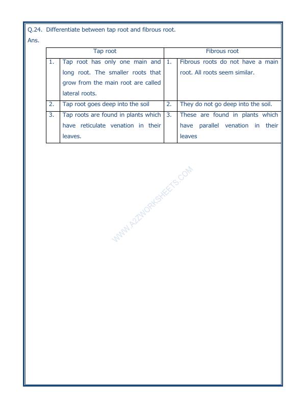 A2ZWorksheets:Science-Plants and Living Organisms-Getting To Know Plants-03