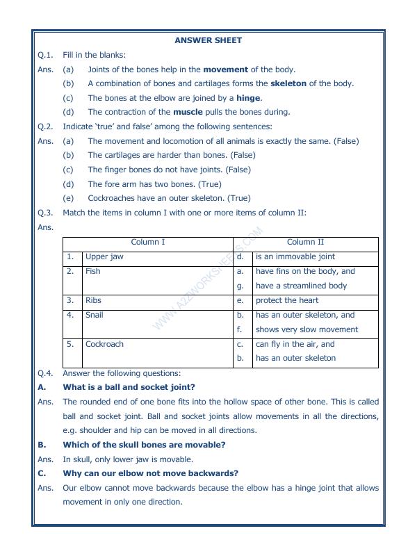 A2ZWorksheets:Science-Humans-Body Movements-01