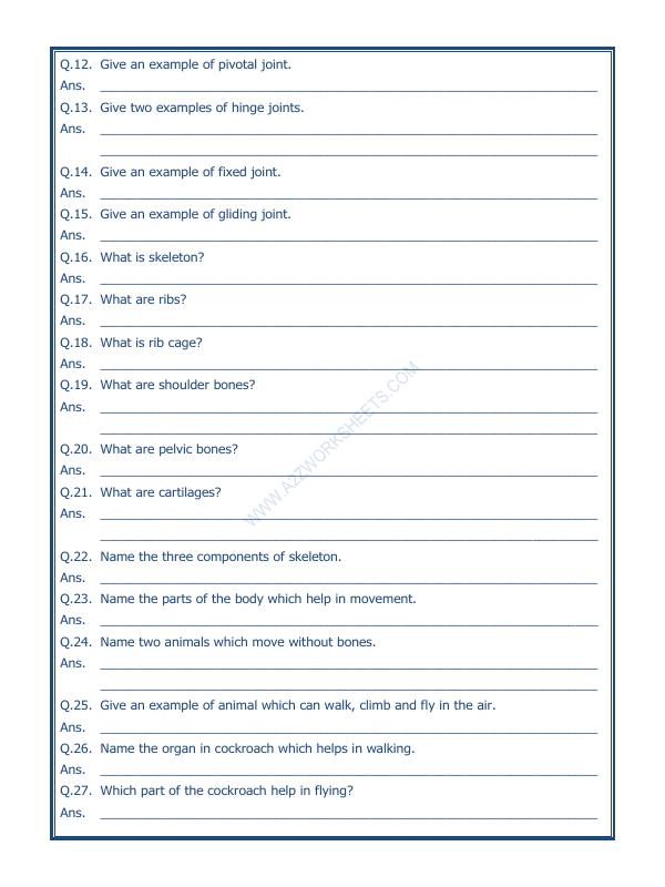 A2ZWorksheets:Science-Humans-Body Movements-02