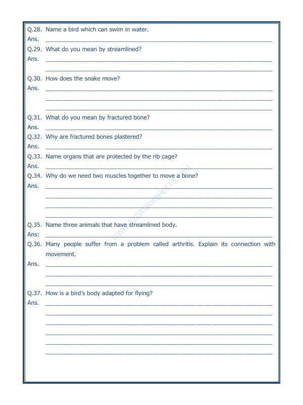 A2ZWorksheets:Science-Humans-Body Movements-02