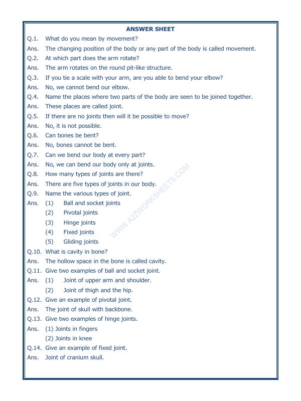 A2ZWorksheets:Science-Humans-Body Movements-02
