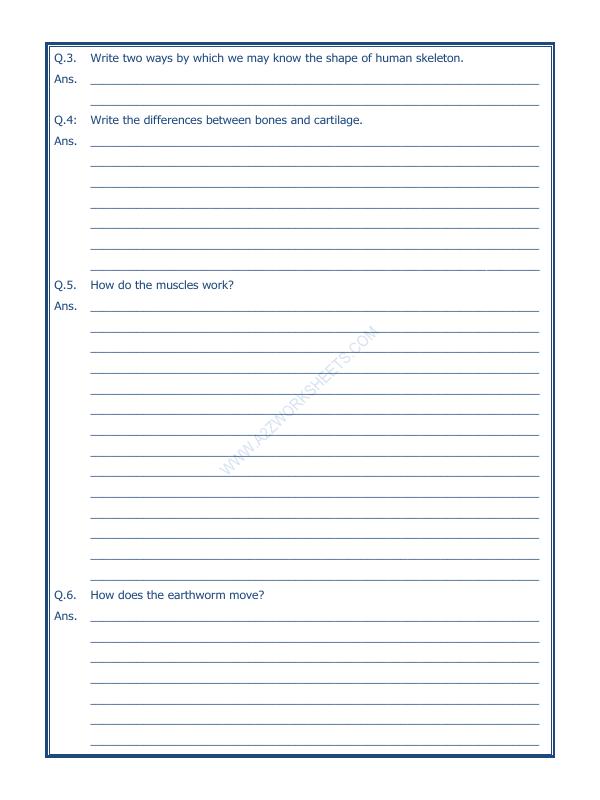 A2ZWorksheets:Science-Humans-Body Movements-03