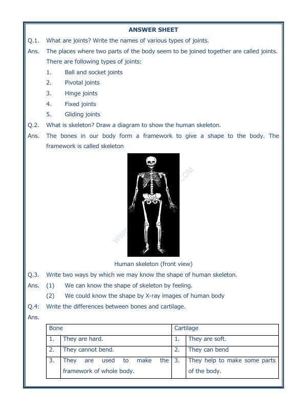 A2ZWorksheets:Science-Humans-Body Movements-03