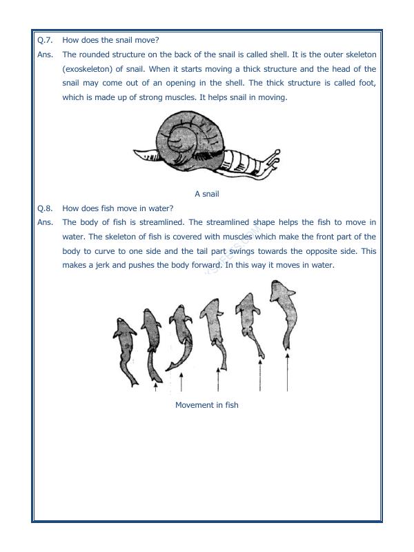 A2ZWorksheets:Science-Humans-Body Movements-03