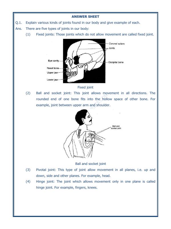 A2ZWorksheets:Science-Humans-Body Movements-04