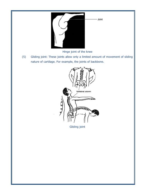 A2ZWorksheets:Science-Humans-Body Movements-04