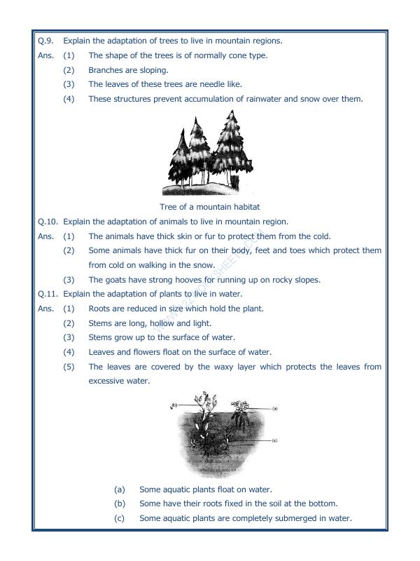 A2ZWorksheets:Science-Environment And Our Surroundings-The Living Organisms And Their Surroundings-02