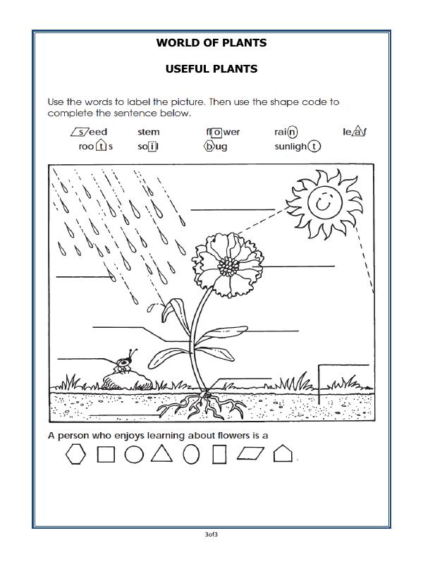 A2ZWorksheets:Science-Plants and Living Organisms-Plants