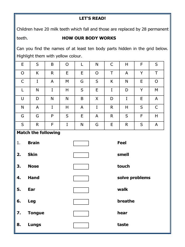 A2ZWorksheets:Science-Humans-Sense Organs
