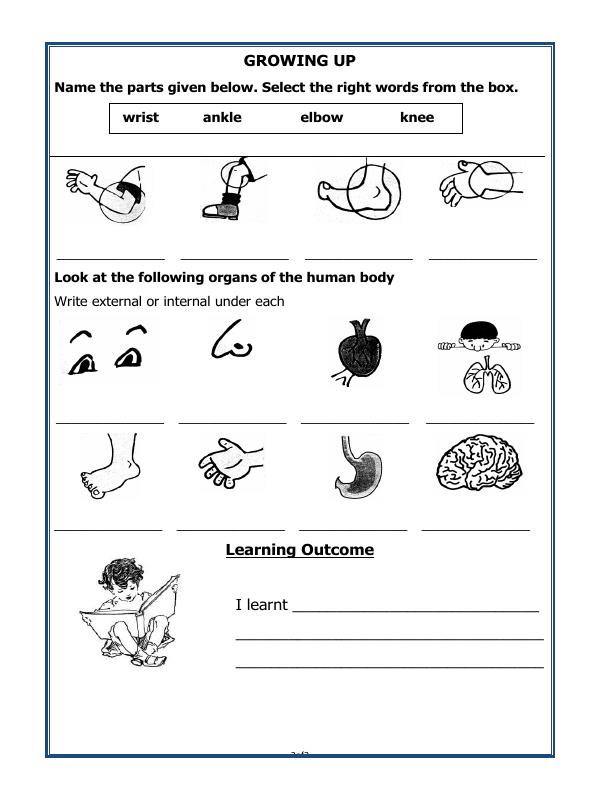 A2ZWorksheets:Science-Humans-Growing Up