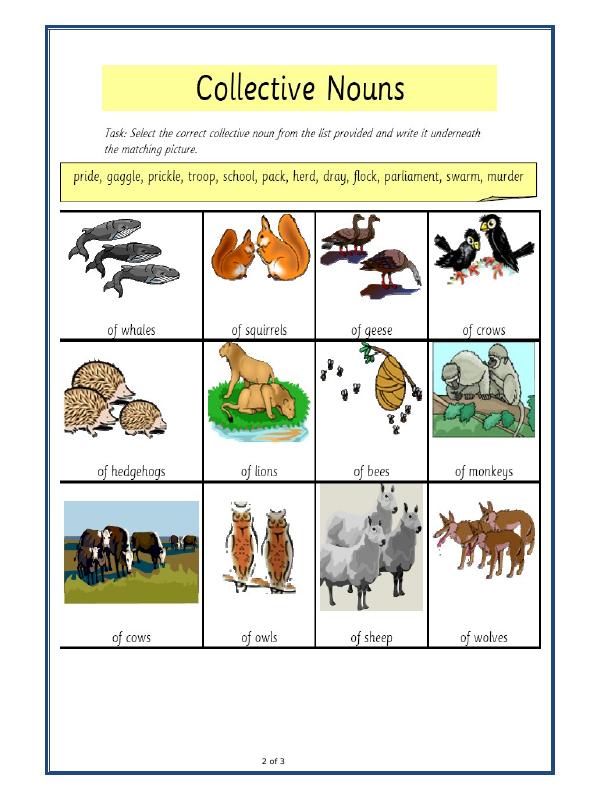 A2ZWorksheets:English-Grammar-Let's Practice Collective Nouns