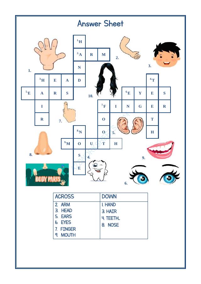 A2ZWorksheets:English-Reading-Crossword-Parts Of Body