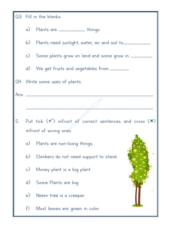 A2ZWorksheets:Science-Plants and Living Organisms-Plants-02
