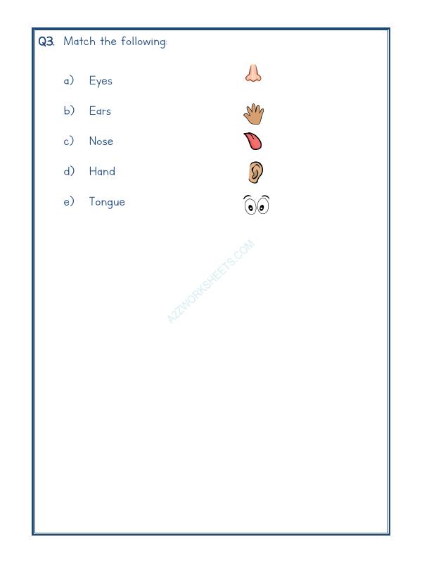 A2ZWorksheets:Science-Humans-Our Body-01