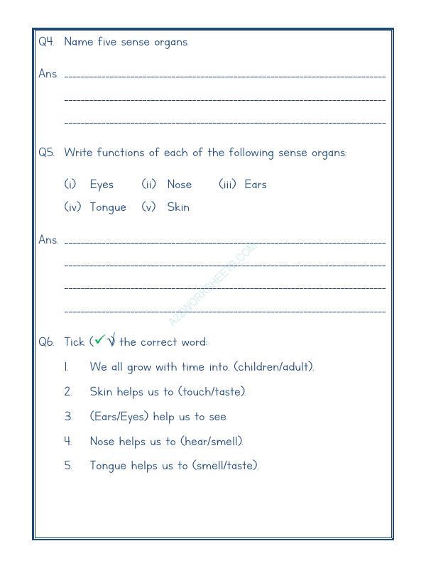 A2ZWorksheets:Science-Humans-Human Body-01