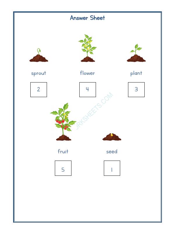 A2ZWorksheets:Science-Plants and Living Organisms-Plants Life-05