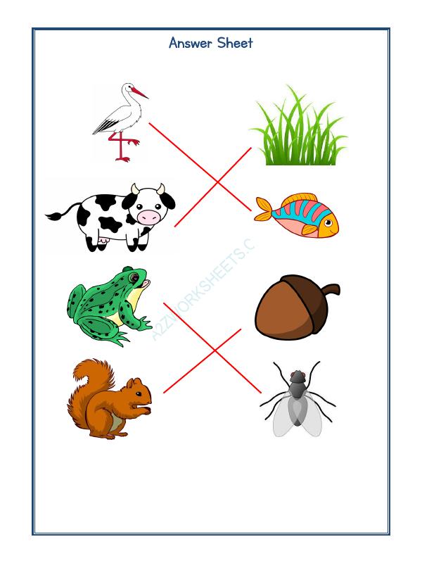 A2ZWorksheets:Science-Animals-Animals Kingdom-01