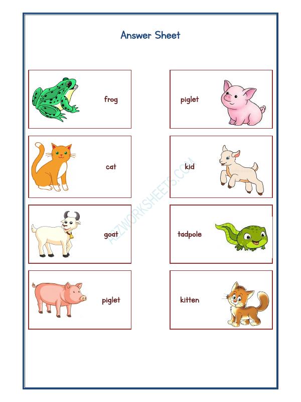 A2ZWorksheets:Science-Animals-Animals Kingdom-13