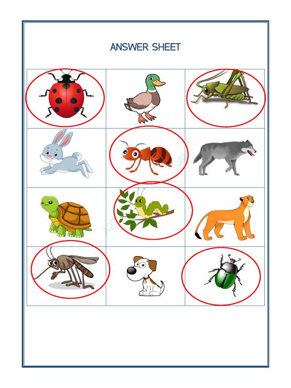 A2ZWorksheets:Science-Animals-Animal Classification-07