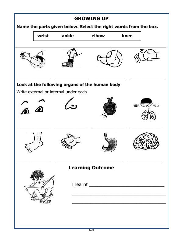 A2ZWorksheets:General Awareness-Growing Up-Growing Up