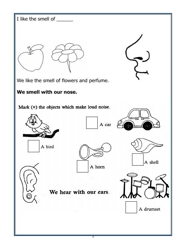 A2ZWorksheets:Science-Humans-Class-I-Our Body